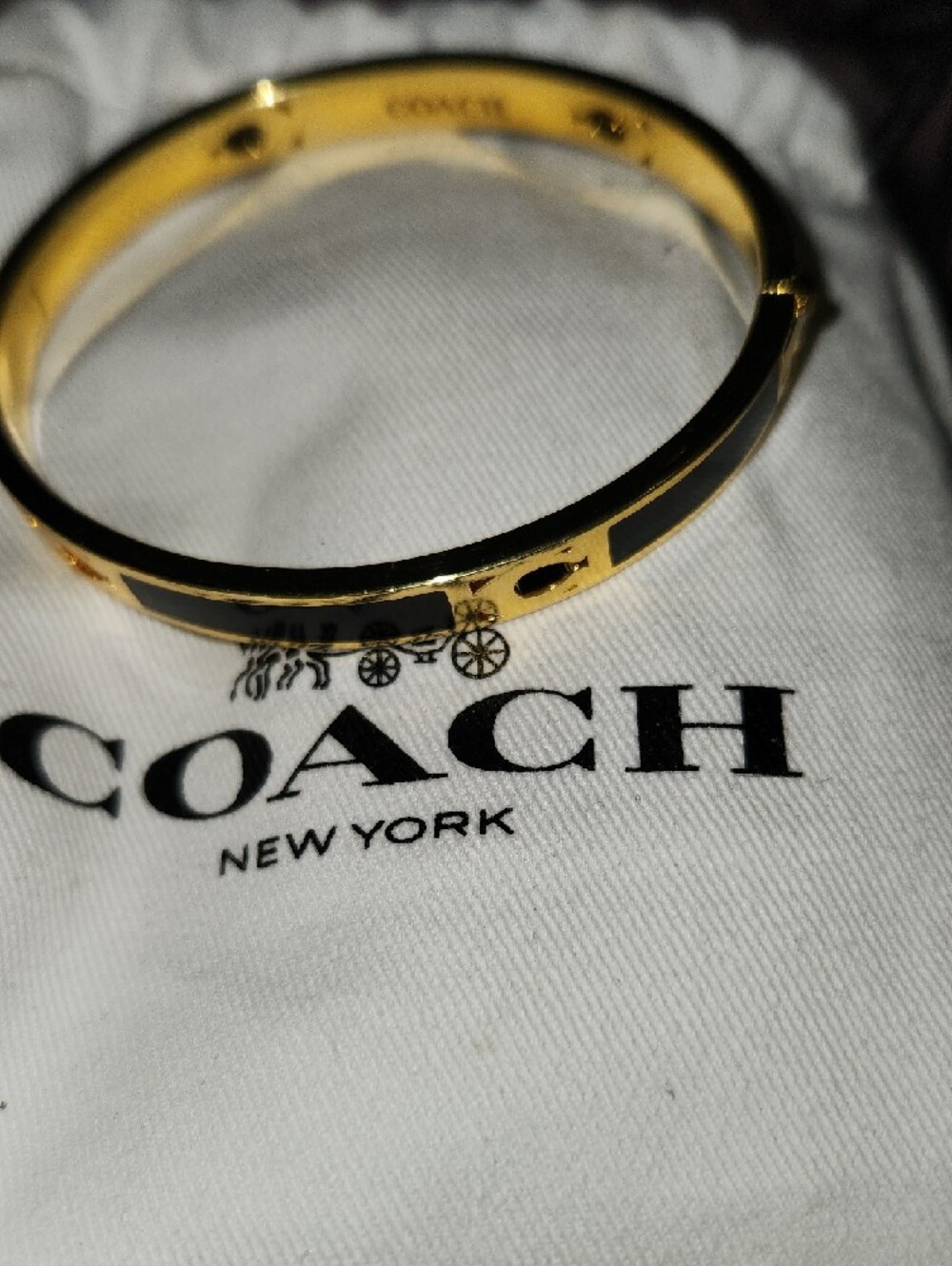 Coach Gold-Tone Key Ring with Branded Drawstring Pouch - Picture 8 of 9